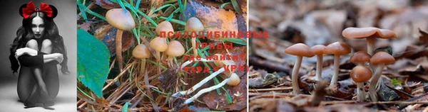 MDMA Зеленокумск