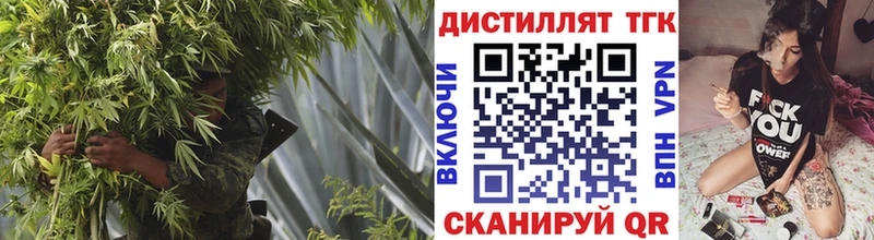 Купить закладки  Вичуга  Дистиллят ТГК THC oil 