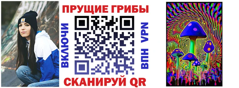 Купить где  Вичуга  Галлюциногенные грибы мицелий 